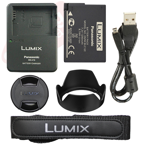 Panasonic Lumix DMC-FZ1000 20.1 MP 4K Digital Camera 16x Optical Zoom + 16GB Kit